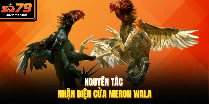 Nguyên tắc nhận diện cửa Meron Wala