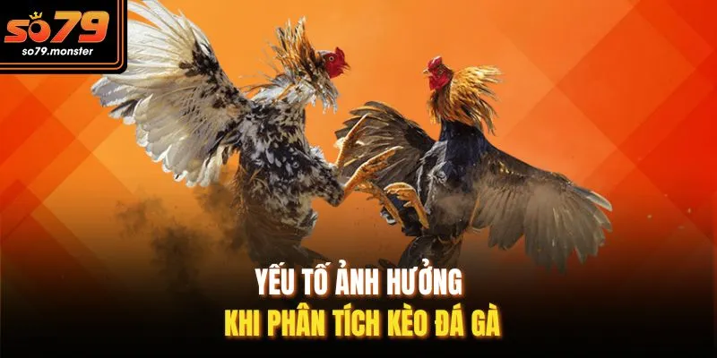 Yếu tố ảnh hưởng khi phân tích kèo đá gà